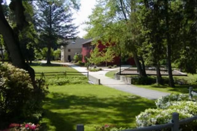 辛尼加学院